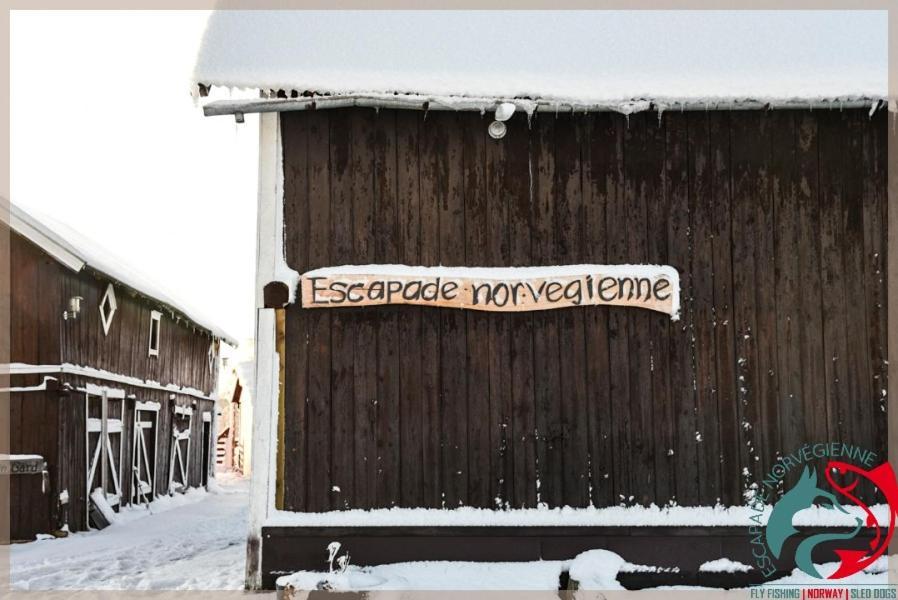 Escapade Norvegienne * Tolga