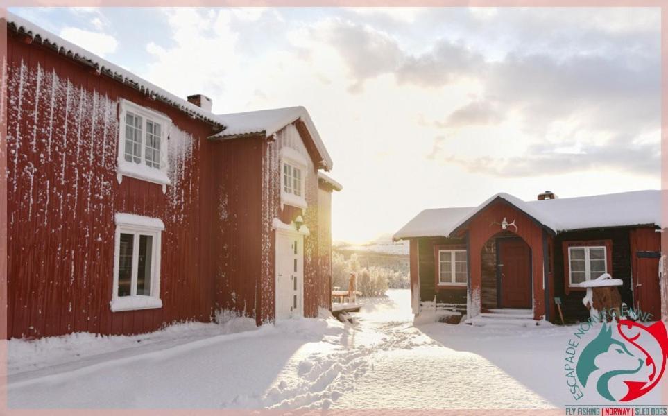 Escapade Norvegienne *