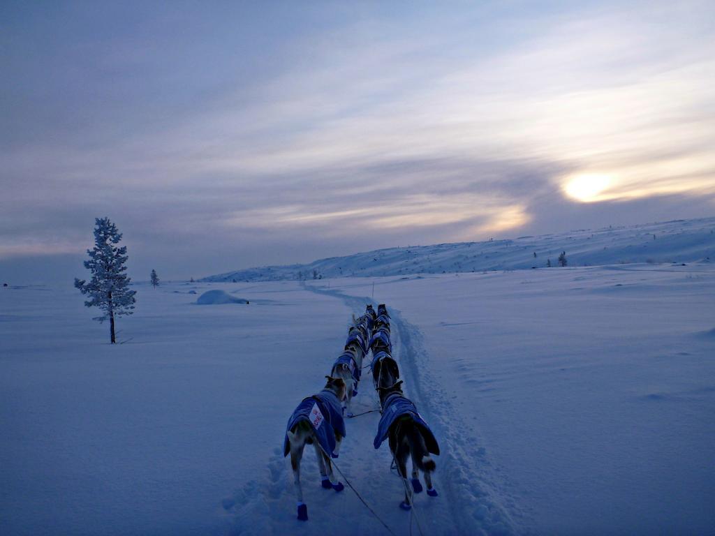 Escapade Norvegienne *
