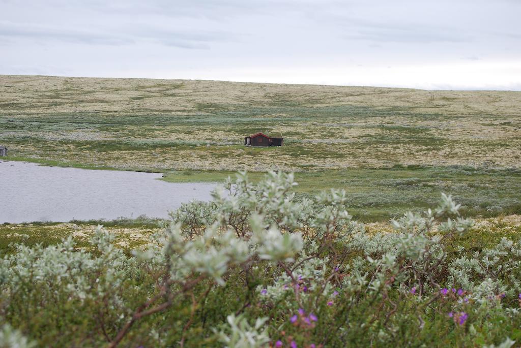 Escapade Norvegienne