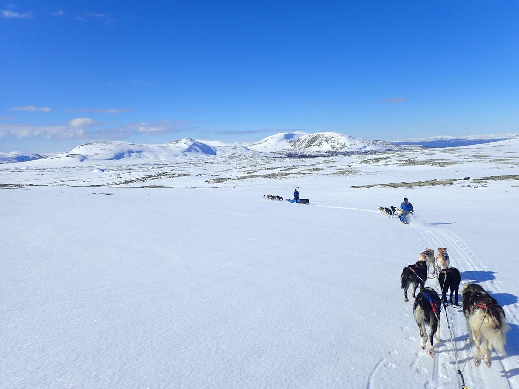 Privat overnatting Escapade Norvegienne *